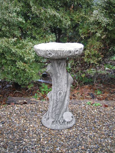 KBB72 Tall Woodland 2 KBB72 Tall Woodland 2